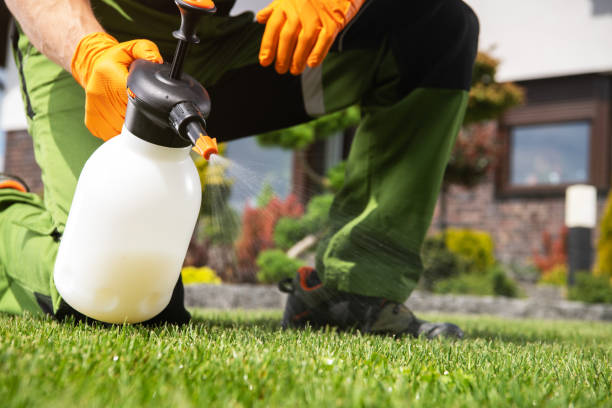 Best Affordable Pest Control Services  in Melbourne Beach, FL