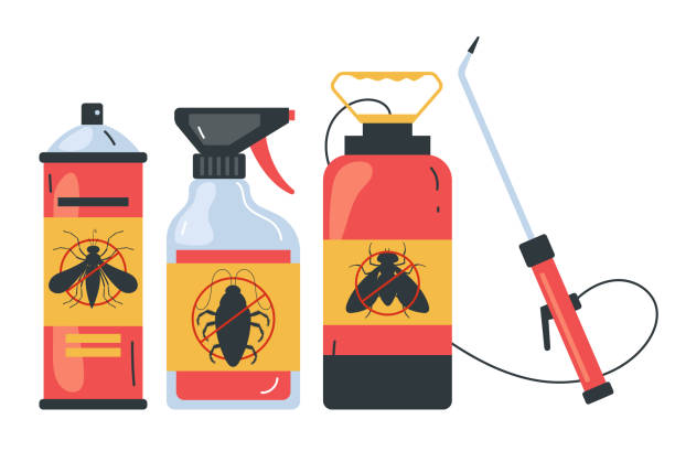 Trusted Melbourne Beach, FL Pest Control Experts